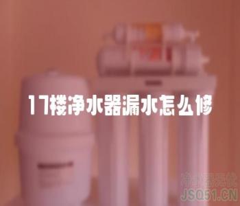 17楼净水器漏水怎么修