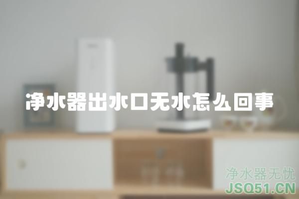 净水器出水口无水怎么回事