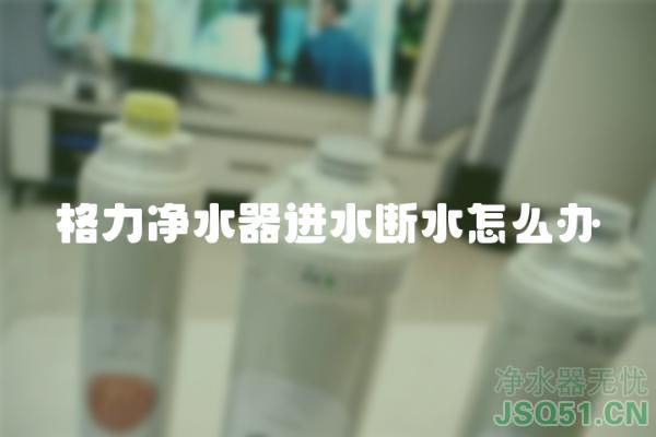 格力净水器进水断水怎么办