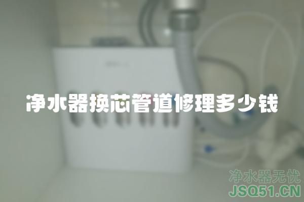 净水器换芯管道修理多少钱