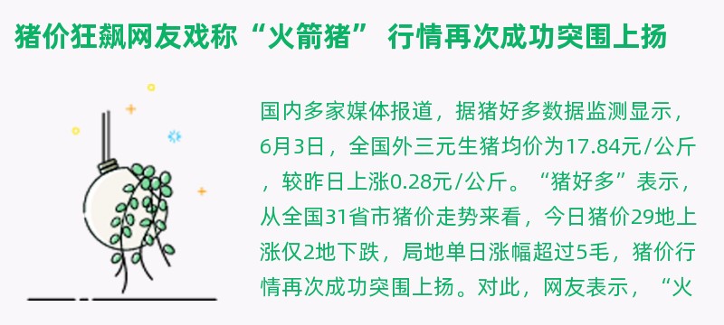 猪价狂飙网友戏称“火箭猪” 行情再次成功突围上扬