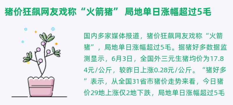 猪价狂飙网友戏称“火箭猪” 局地单日涨幅超过5毛