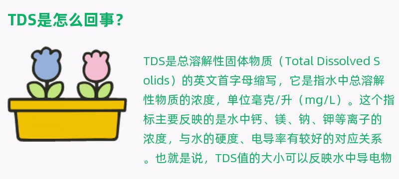 tds是怎么回事？