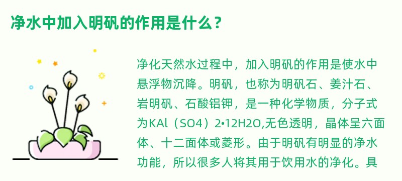 净水中加入明矾的作用是什么？