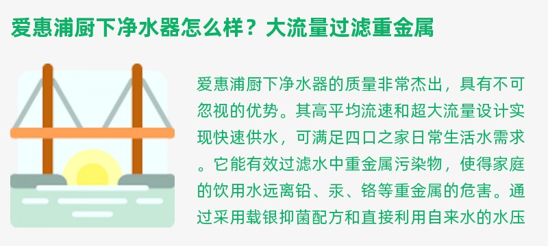 爱惠浦厨下净水器怎么样？大流量过滤重金属